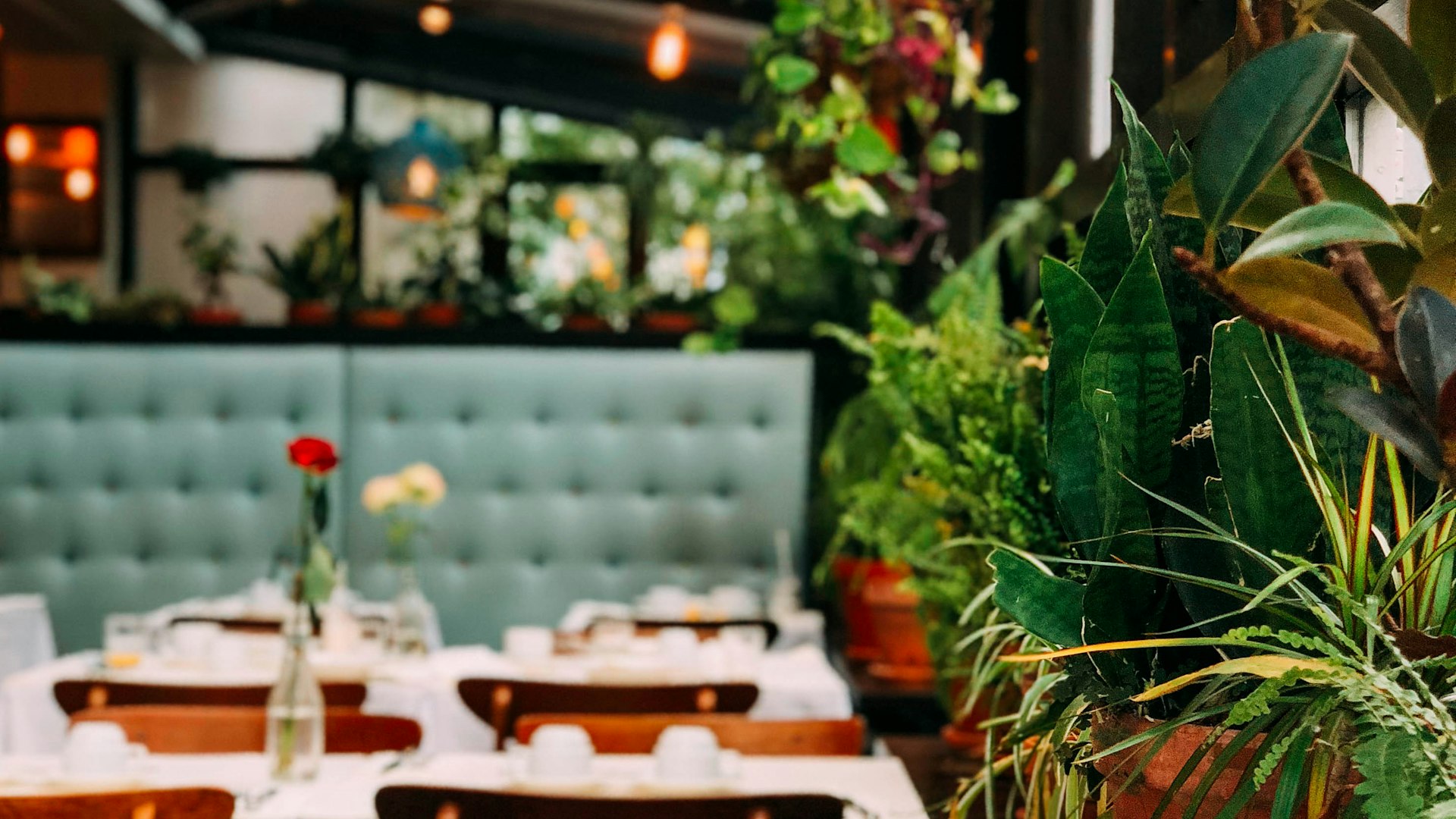 Chef cooking in kitchen